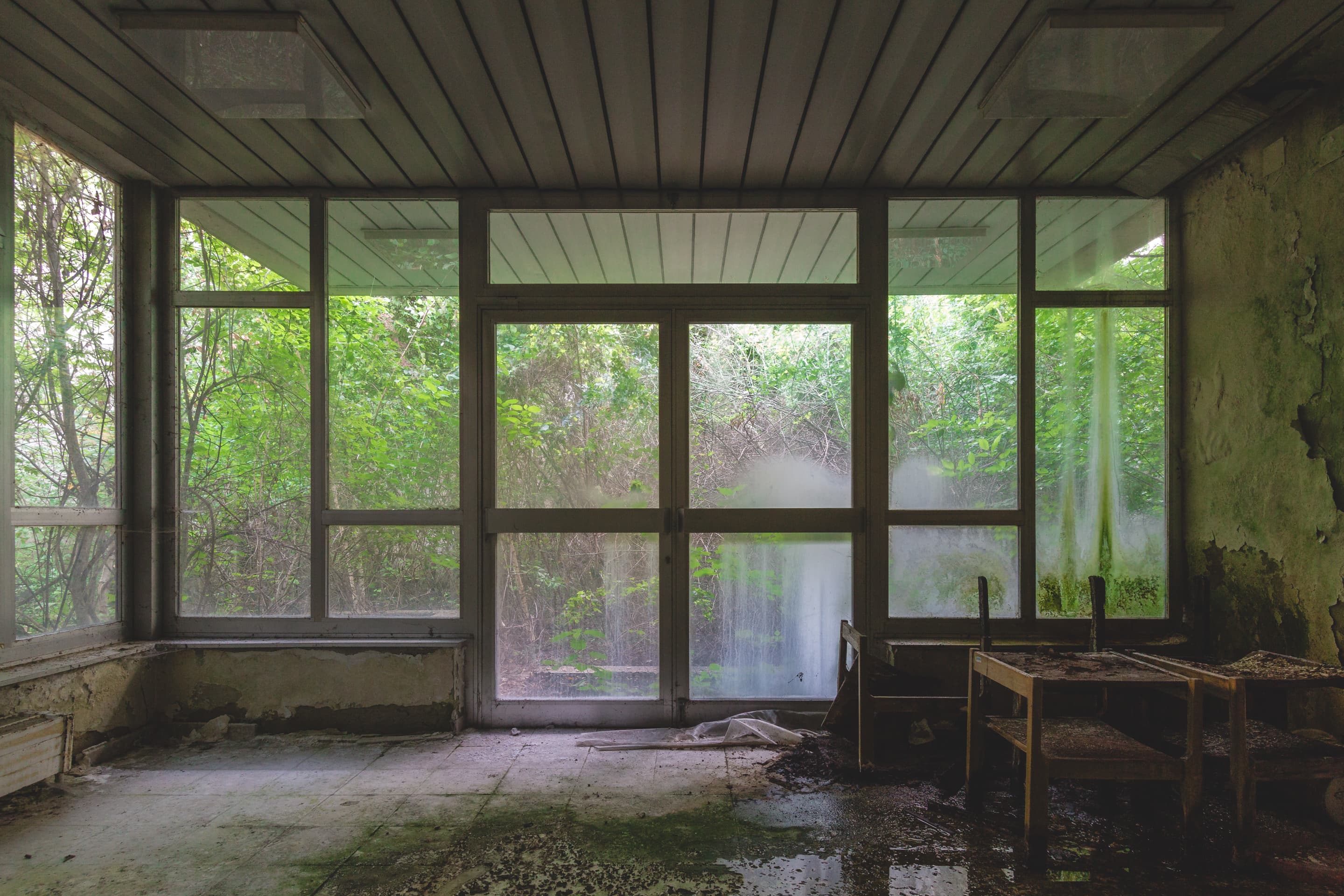 Krankenhaus — überwuchert